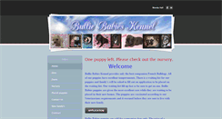 Desktop Screenshot of bulliebabieskennel.com